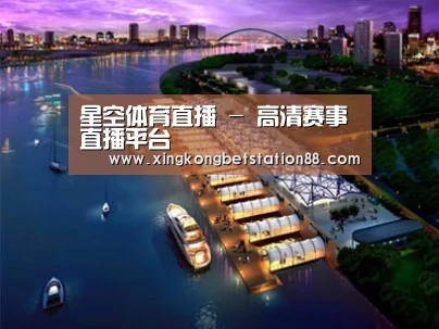 案例展示八